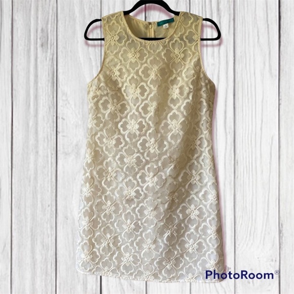 NWOT Anthropologie Pim + Larkin Cream Lace Flower Design Sleeveless Dress - Picture 1 of 12